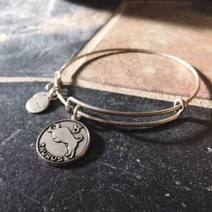 ✨ ON SALE - Alex & Ani Taurus Bracelet (New)  